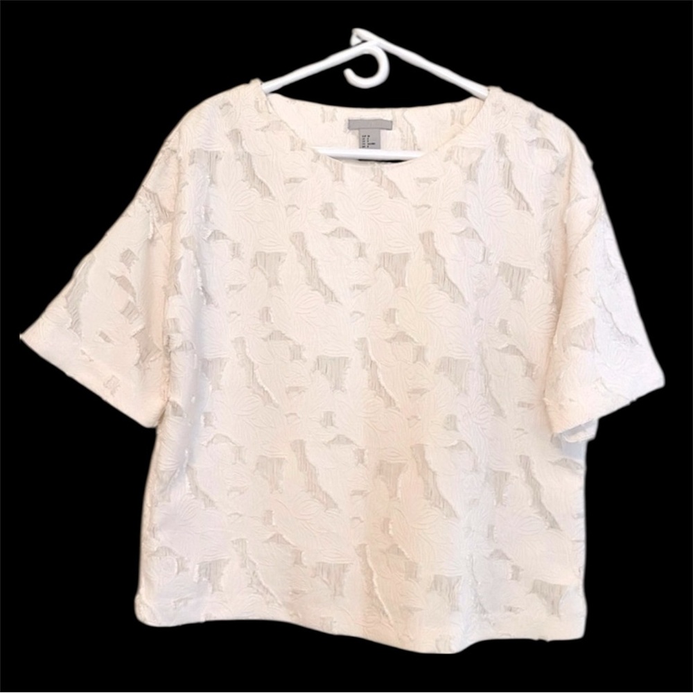 H&M Size 8 Embroidered & Appliquéd Drop Shoulder Swing Blouse in Ivory
